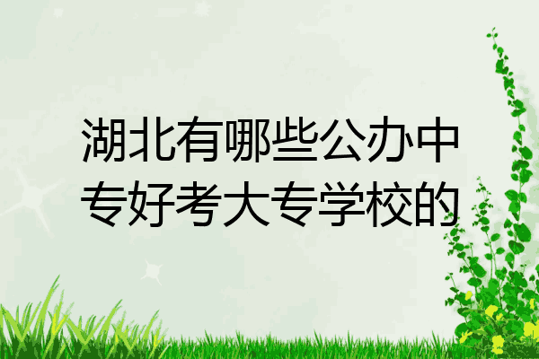 湖北有哪些公办中专好考大专学校的