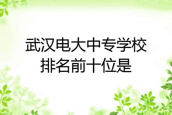 武汉电大中专学校排名前十位是