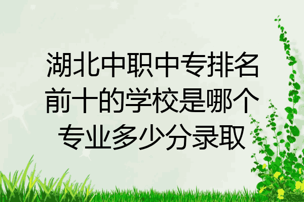 湖北中职中专排名前十的学校是哪个专业多少分录取