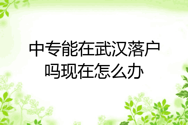 中专能在武汉落户吗现在怎么办