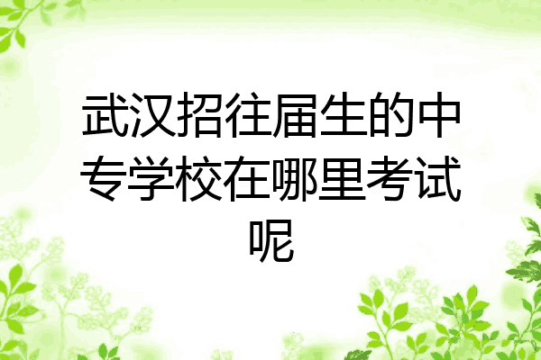 武汉招往届生的中专学校在哪里考试呢