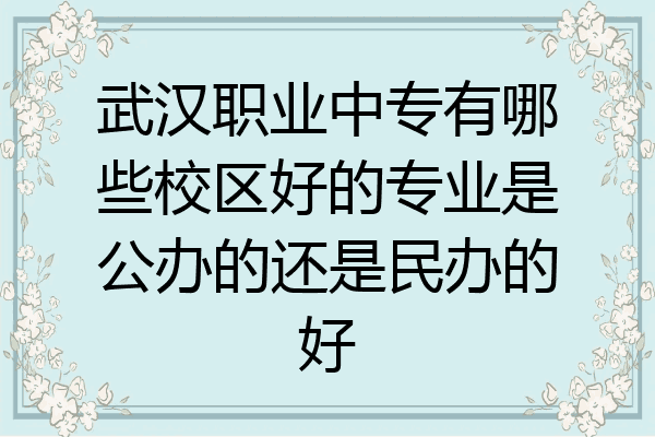 武汉职业中专有哪些校区好的专业是公办的还是民办的好