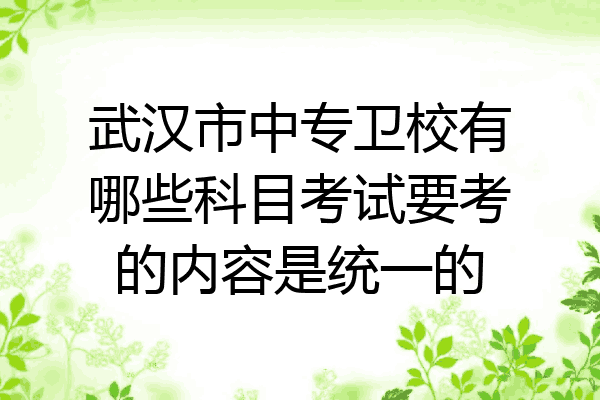 武汉市中专卫校有哪些科目考试要考的内容是统一的
