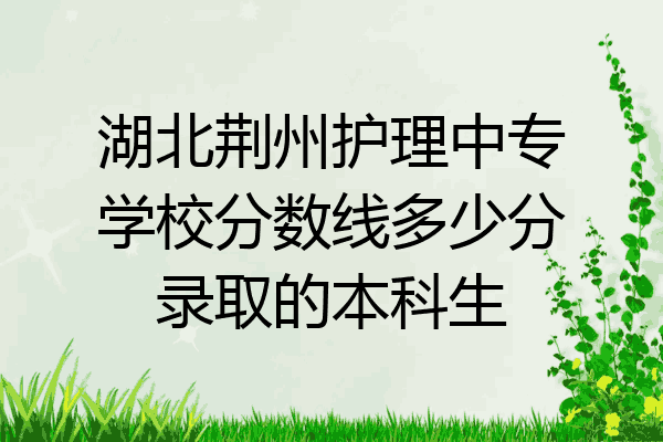 湖北荆州护理中专学校分数线多少分录取的本科生