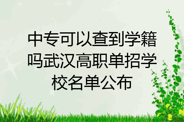中专可以查到学籍吗武汉高职单招学校名单公布