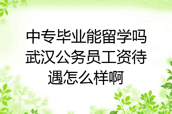 中专毕业能留学吗武汉公务员工资待遇怎么样啊