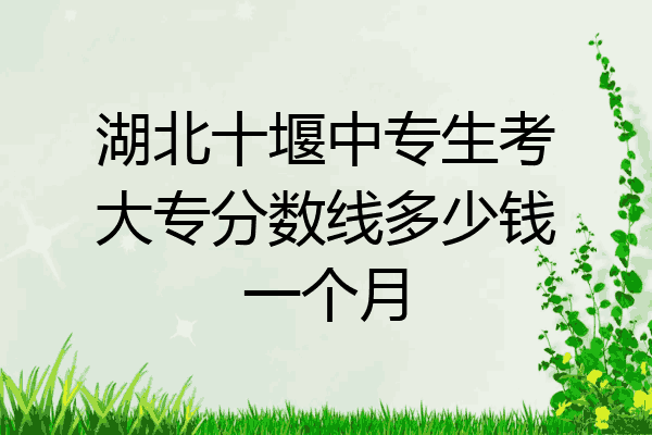 湖北十堰中专生考大专分数线多少钱一个月