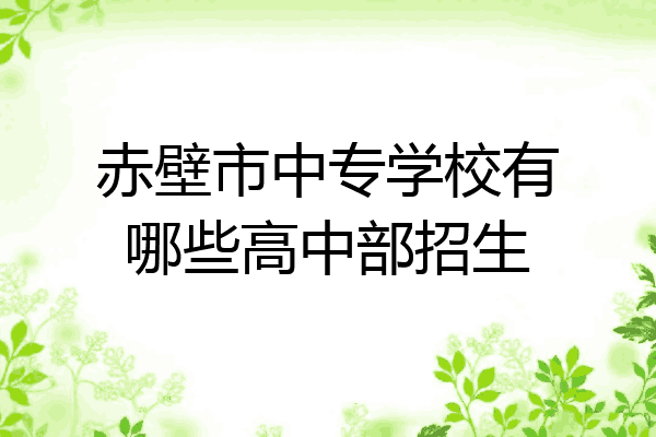 赤壁市中专学校有哪些高中部招生