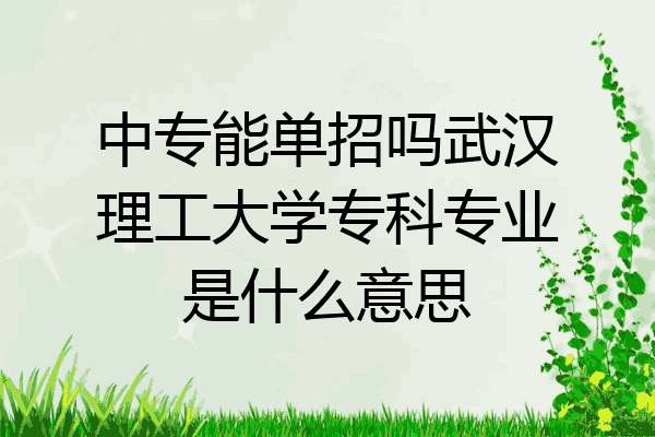 中专能单招吗武汉理工大学专科专业是什么意思