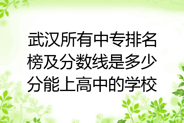 武汉所有中专排名榜及分数线是多少分能上高中的学校