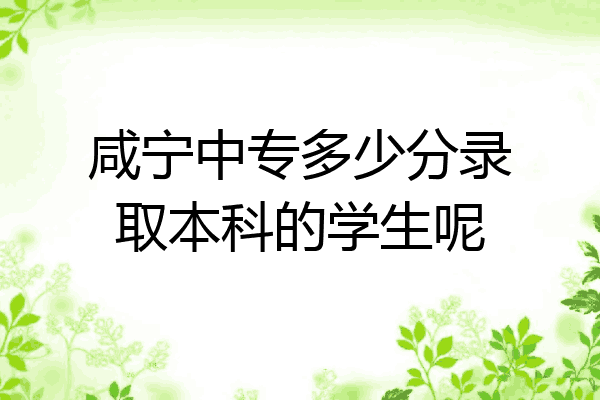 咸宁中专多少分录取本科的学生呢