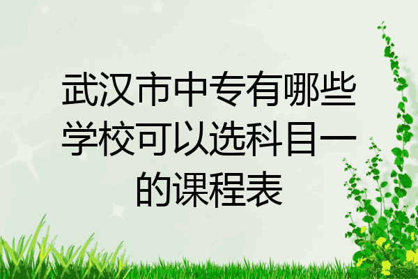武汉市中专有哪些学校可以选科目一的课程表