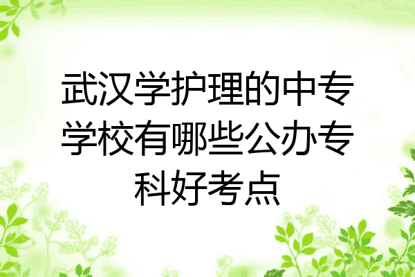 武汉学护理的中专学校有哪些公办专科好考点