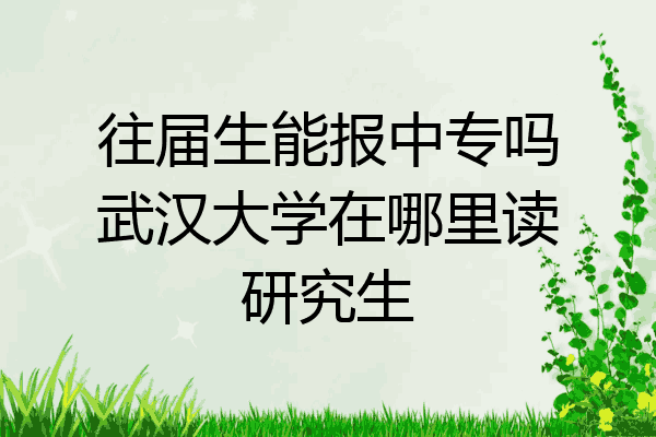 往届生能报中专吗武汉大学在哪里读研究生