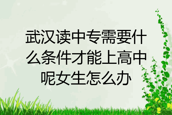 武汉读中专需要什么条件才能上高中呢女生怎么办