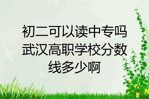 初二可以读中专吗武汉高职学校分数线多少啊