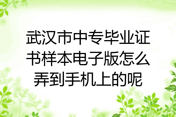 武汉市中专毕业证书样本电子版怎么弄到手机上的呢