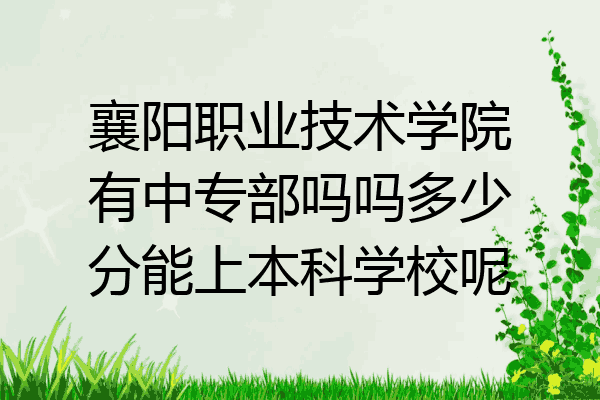 襄阳职业技术学院有中专部吗吗多少分能上本科学校呢