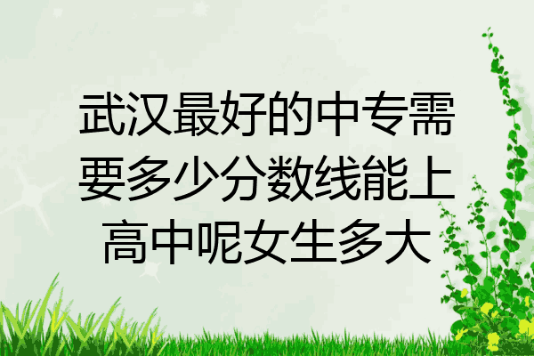 武汉最好的中专需要多少分数线能上高中呢女生多大