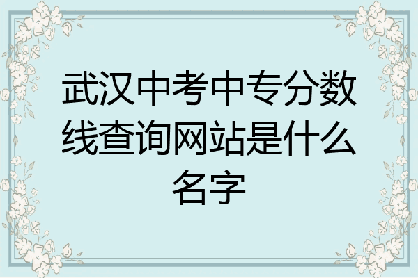武汉中考中专分数线查询网站是什么名字