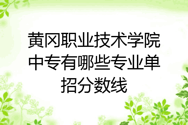 黄冈职业技术学院中专有哪些专业单招分数线