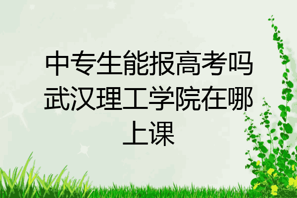 中专生能报高考吗武汉理工学院在哪上课