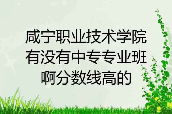 咸宁职业技术学院有没有中专专业班啊分数线高的