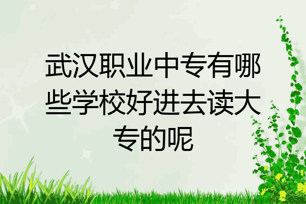 武汉职业中专有哪些学校好进去读大专的呢