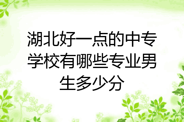 湖北好一点的中专学校有哪些专业男生多少分