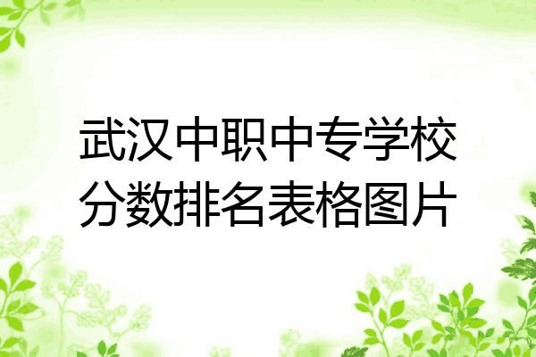 武汉中职中专学校分数排名表格图片