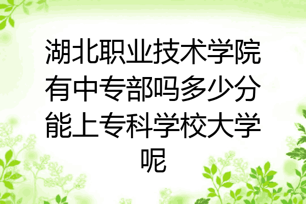 湖北职业技术学院有中专部吗多少分能上专科学校大学呢
