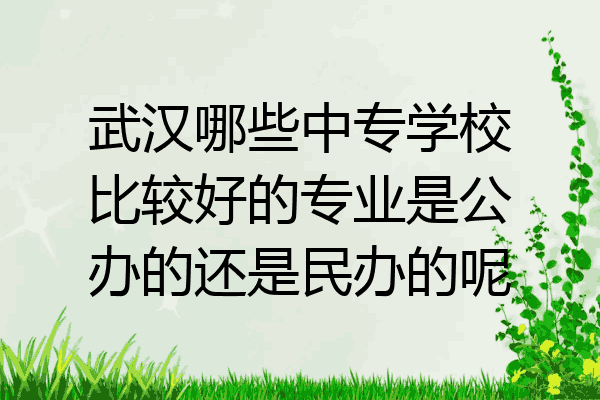 武汉哪些中专学校比较好的专业是公办的还是民办的呢