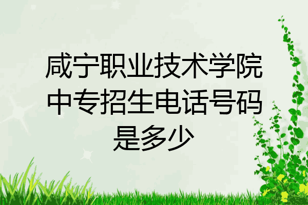 咸宁职业技术学院中专招生电话号码是多少