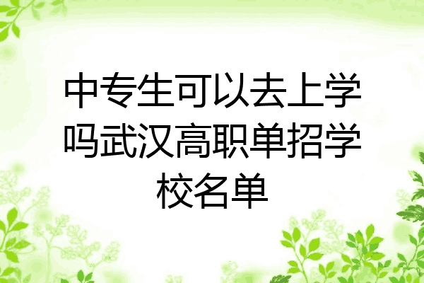 中专生可以去上学吗武汉高职单招学校名单