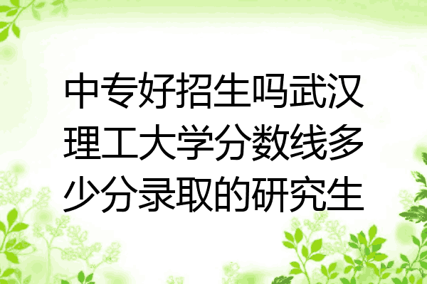 中专好招生吗武汉理工大学分数线多少分录取的研究生