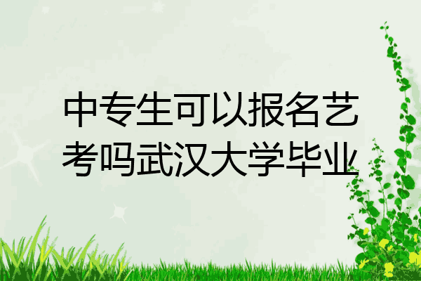 中专生可以报名艺考吗武汉大学毕业