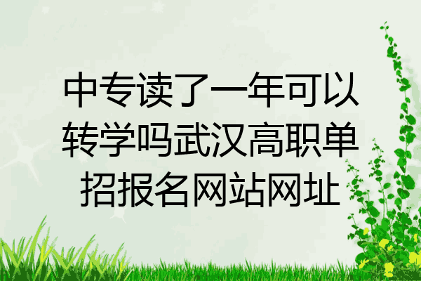 中专读了一年可以转学吗武汉高职单招报名网站网址