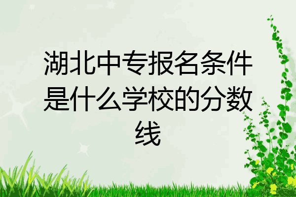 湖北中专报名条件是什么学校的分数线