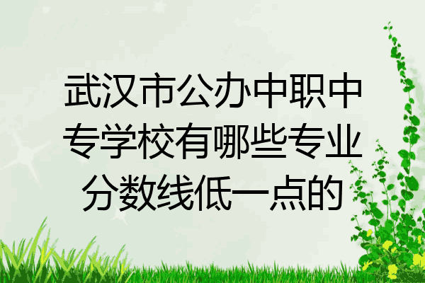 武汉市公办中职中专学校有哪些专业分数线低一点的