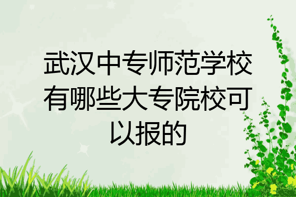 武汉中专师范学校有哪些大专院校可以报的