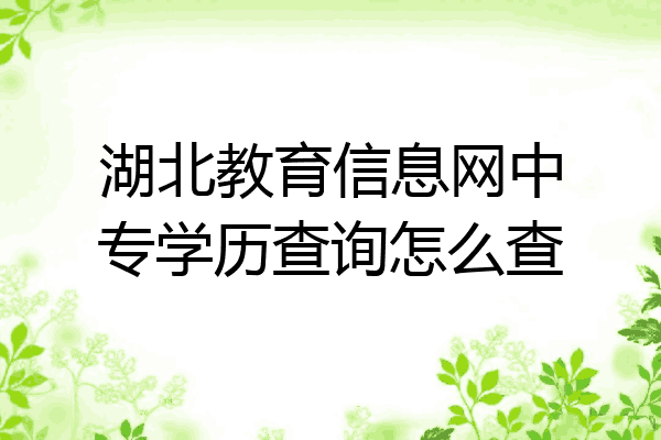 湖北教育信息网中专学历查询怎么查