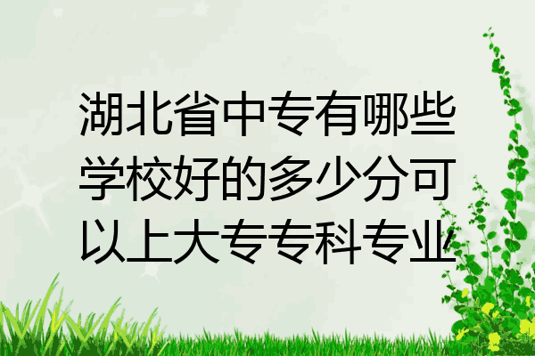 湖北省中专有哪些学校好的多少分可以上大专专科专业