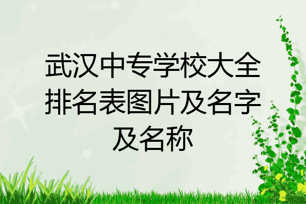 武汉中专学校大全排名表图片及名字及名称