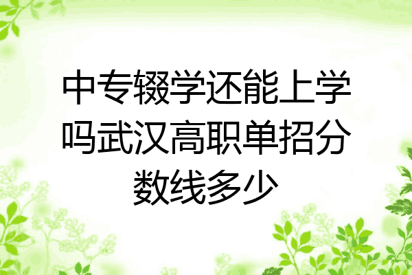 中专辍学还能上学吗武汉高职单招分数线多少