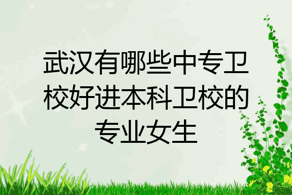 武汉有哪些中专卫校好进本科卫校的专业女生