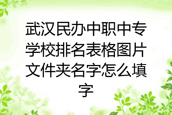 武汉民办中职中专学校排名表格图片文件夹名字怎么填字