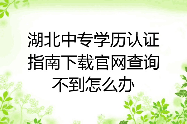 湖北中专学历认证指南下载官网查询不到怎么办