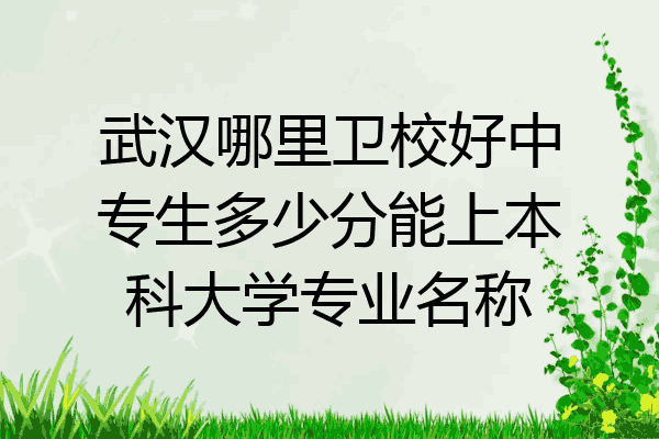武汉哪里卫校好中专生多少分能上本科大学专业名称