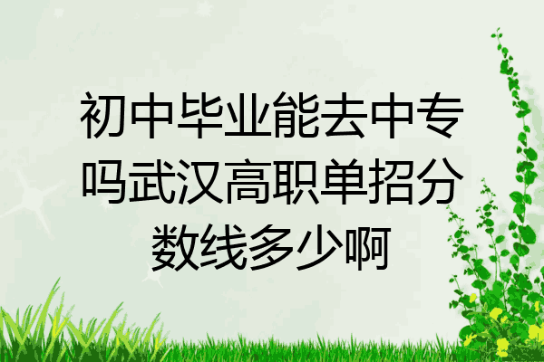 初中毕业能去中专吗武汉高职单招分数线多少啊