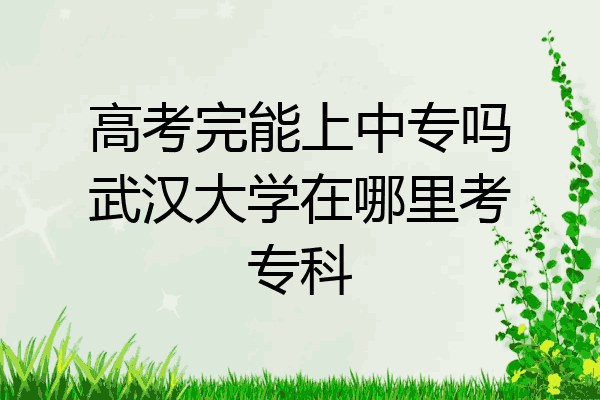 高考完能上中专吗武汉大学在哪里考专科